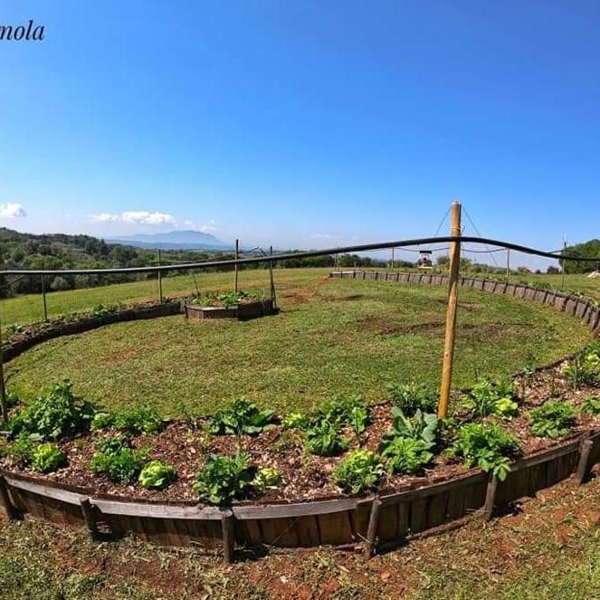La Casa Del Tartufo *
